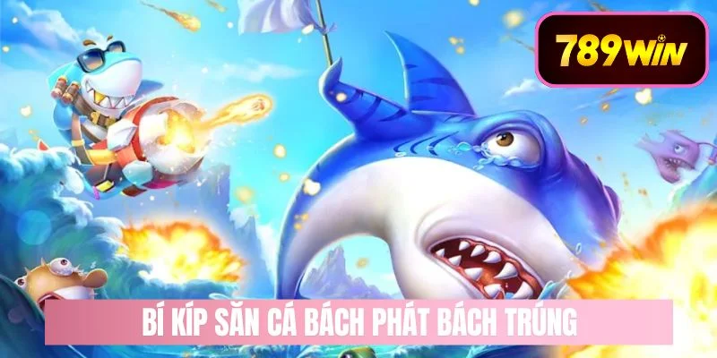 Bí kíp săn cá bách phát bách trúng mà bạn nên biết
