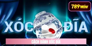 cách đánh xóc đĩa